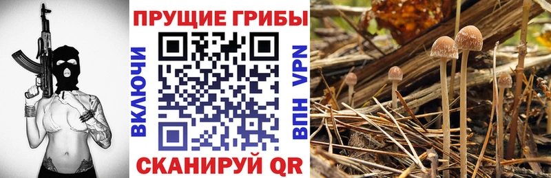 Галлюциногенные грибы Magic Shrooms  Кукмор 